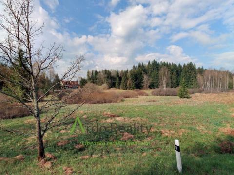 Prodej pozemku, Přední Výtoň, 13889 m2