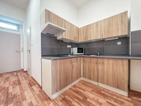 Pronájem bytu 1+1, Praha - Žižkov, Jeronýmova, 29 m2