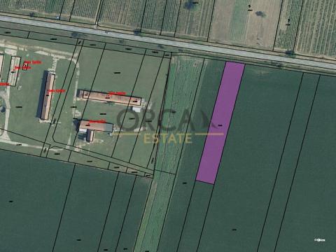 Prodej zemědělské půdy, Přítluky, 2963 m2