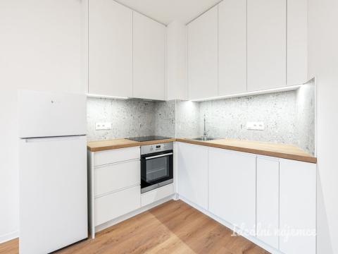 Pronájem bytu 2+kk, Praha - Břevnov, Na Větrníku, 67 m2