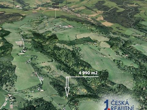 Prodej lesa, Vševily, 4990 m2