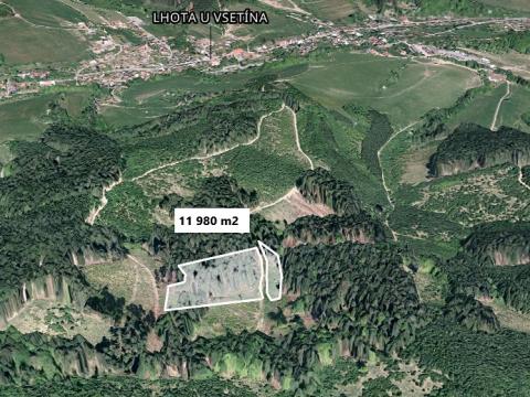 Prodej lesa, Lhota u Vsetína, 11980 m2