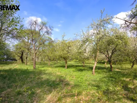 Prodej pozemku pro bydlení, Březnice, 2661 m2