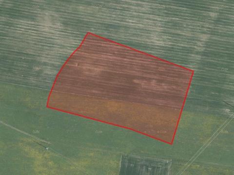 Prodej zemědělské půdy, Trstěnice, 56240 m2