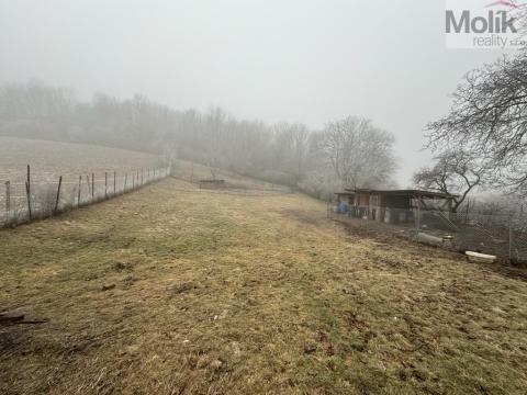 Prodej zahrady, Lužice - Svinčice, 1899 m2