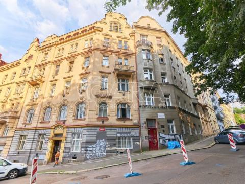 Prodej bytu 2+kk, Praha - Nusle, Lumírova, 51 m2