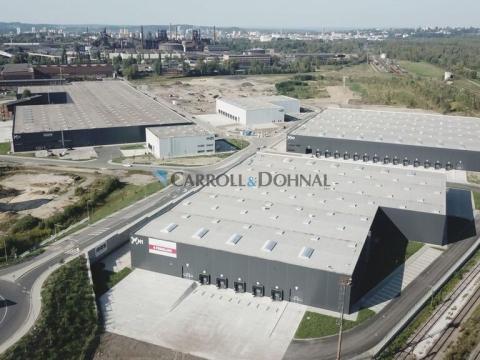 Pronájem skladu, Ostrava - Vítkovice, Halasova, 15470 m2