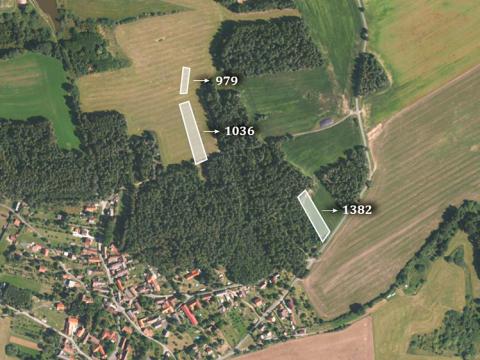 Prodej trvalého travního porostu, Kvášňovice, 12905 m2