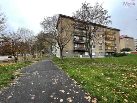 Pronájem bytu 1+1, Litvínov - Horní Litvínov, U Zámeckého parku, 44 m2