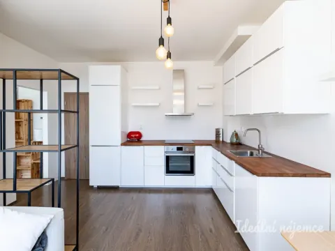 Pronájem bytu 2+kk, Praha - Žižkov, Biskupcova, 44 m2