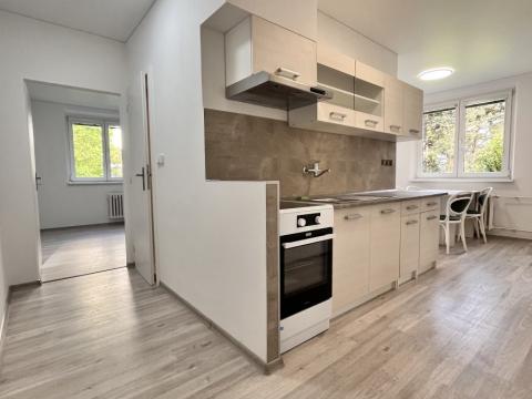 Pronájem bytu 3+1, Olomouc - Nová Ulice, Pionýrská, 63 m2