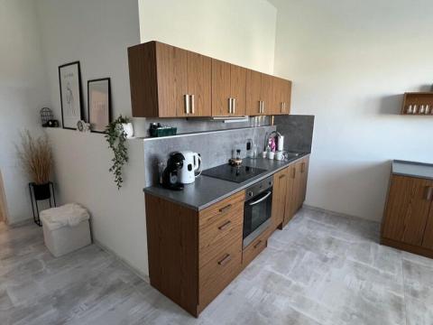 Pronájem bytu 2+kk, Ústí nad Labem - Ústí nad Labem-centrum, Panská, 70 m2