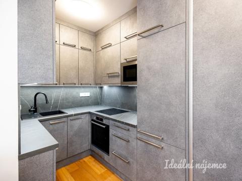 Pronájem bytu 1+kk, Praha - Vinohrady, Perucká, 23 m2