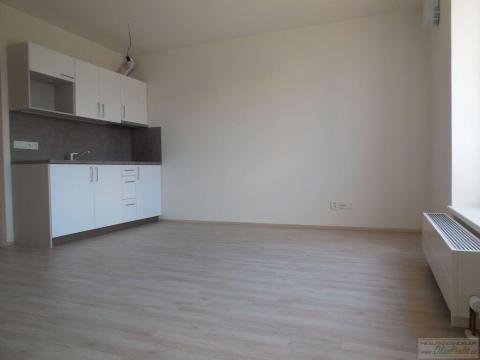 Pronájem bytu 1+kk, Brno - Slatina, Tilhonova, 32 m2