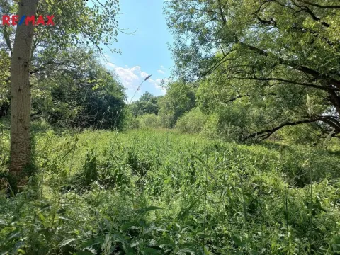 Prodej pozemku, Vodňany, 4517 m2