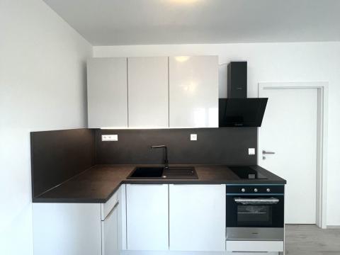 Pronájem bytu 1+kk, Zbůch, K Újezdu, 29 m2