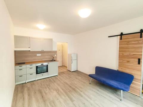 Pronájem bytu 2+kk, Brno - Staré Brno, Pekařská, 29 m2