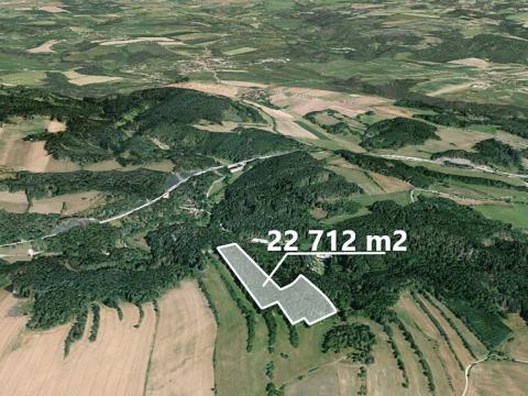 Prodej podílu lesa, Kuřimská Nová Ves, 5047 m2