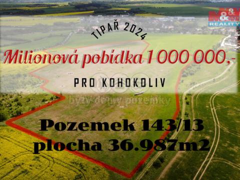 Prodej pozemku pro komerční výstavbu, Tachlovice, 36987 m2