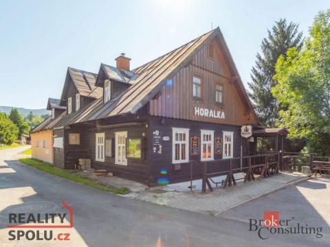 Prodej ubytování, Rokytnice nad Jizerou - Horní Rokytnice, 380 m2