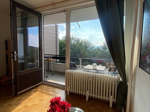 Pronájem bytu 1+kk, Liberec, Sosnová, 29 m2