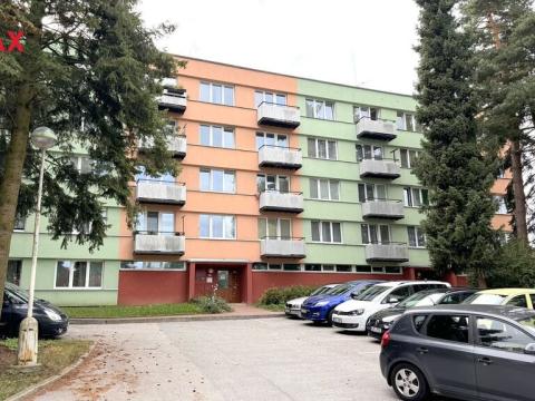 Pronájem bytu 1+kk, Pelhřimov, Dolnokubínská, 19 m2