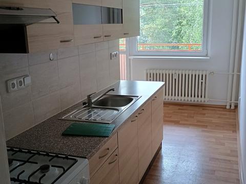 Pronájem bytu 1+1, Nový Jičín, Dlouhá, 48 m2