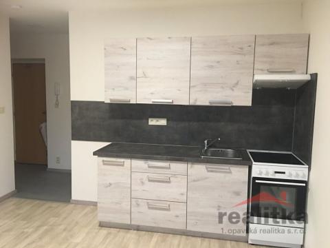 Pronájem bytu 1+kk, Opava - Předměstí, Rybářská, 29 m2