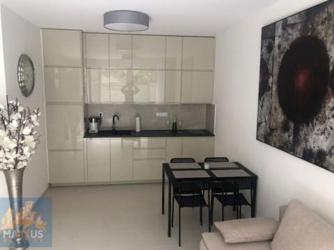 Pronájem bytu 2+kk, Praha - Nové Město, Krakovská, 52 m2