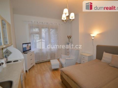 Pronájem bytu 1+kk, Praha - Vinohrady, Vinohradská, 30 m2