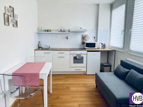 Pronájem bytu 1+kk, Praha - Vinohrady, Perucká, 23 m2