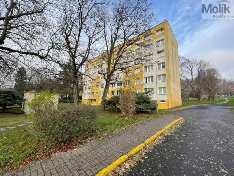 Pronájem bytu 1+kk, Litvínov - Horní Litvínov, Tylova, 27 m2