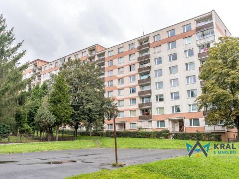 Prodej bytu 1+kk, Ústí nad Labem - Ústí nad Labem-centrum, SNP, 19 m2