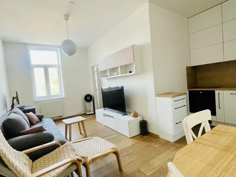 Pronájem bytu 2+kk, Brno, Stavební, 41 m2