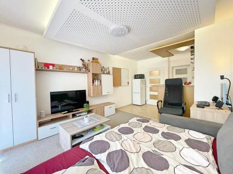 Pronájem bytu 1+kk, Liberec, Libušina, 28 m2