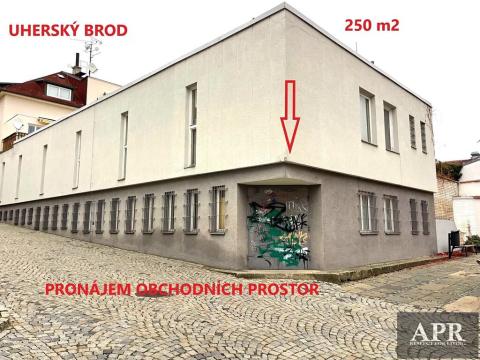 Pronájem obchodního prostoru, Uherský Brod, 250 m2