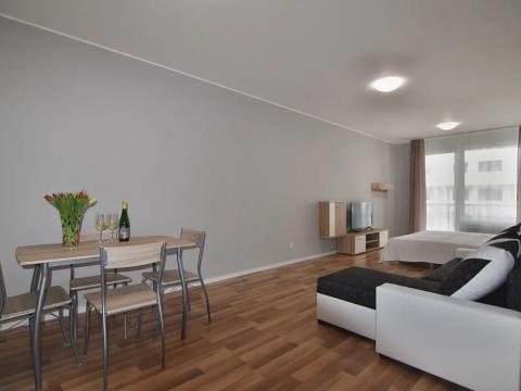 Prodej bytu 1+kk, Praha - Strašnice, Zvěřinova, 51 m2