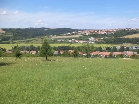 Dražba louky, Podolí, 2374 m2