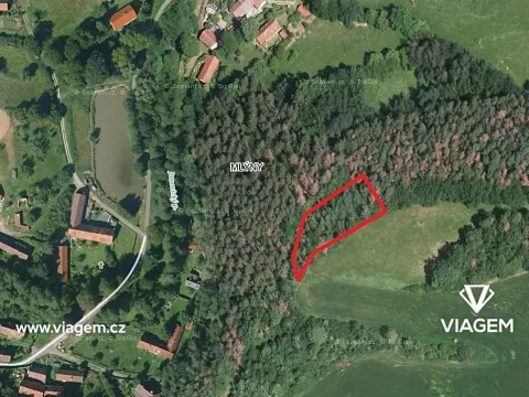 Prodej podílu lesa, Bystřice, 971 m2