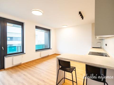 Pronájem bytu 1+kk, Praha - Žižkov, Olgy Havlové, 32 m2