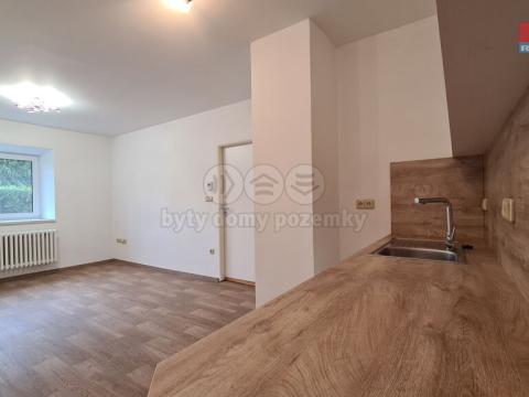 Pronájem bytu 1+kk, Štěpánovice, 45 m2