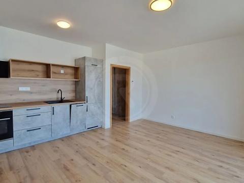 Pronájem bytu 1+kk, České Budějovice, Vrbenská, 33 m2