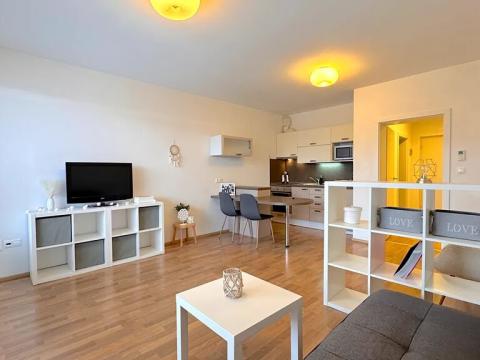 Pronájem bytu 1+kk, Brno, Francouzská, 39 m2