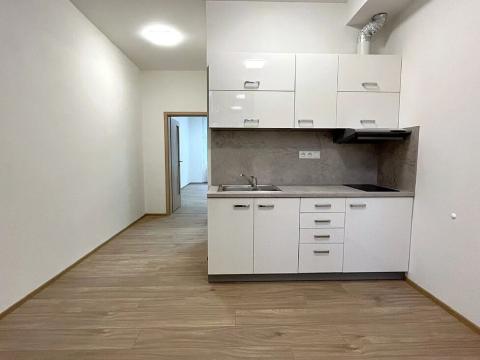 Pronájem bytu 2+kk, Brno, Cihlářská, 42 m2