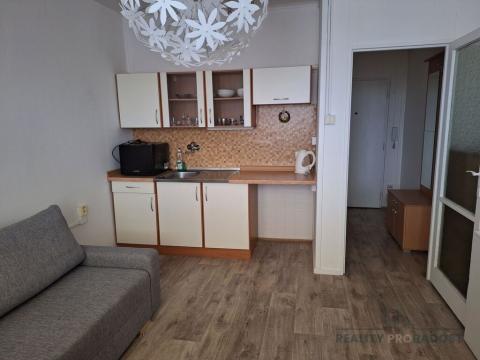 Pronájem bytu 1+kk, Děčín, Kamenická, 20 m2