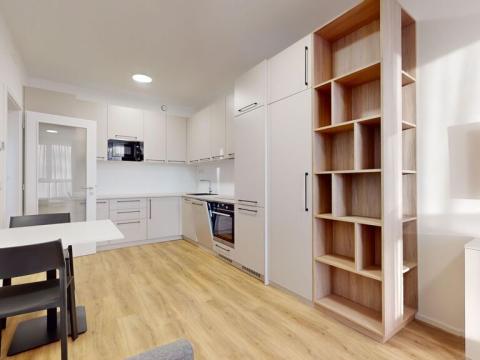 Pronájem bytu 2+kk, Praha - Vysočany, Odkolkova, 52 m2