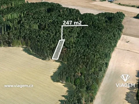 Prodej pole, Příbram na Moravě, 247 m2