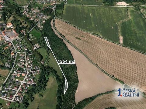 Prodej lesa, Blovice, 1554 m2