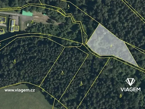 Prodej podílu lesa, Těchonín, 441 m2