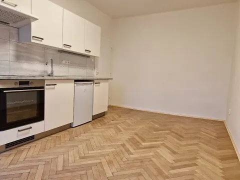 Pronájem bytu 1+kk, Praha - Žižkov, Pod lipami, 22 m2